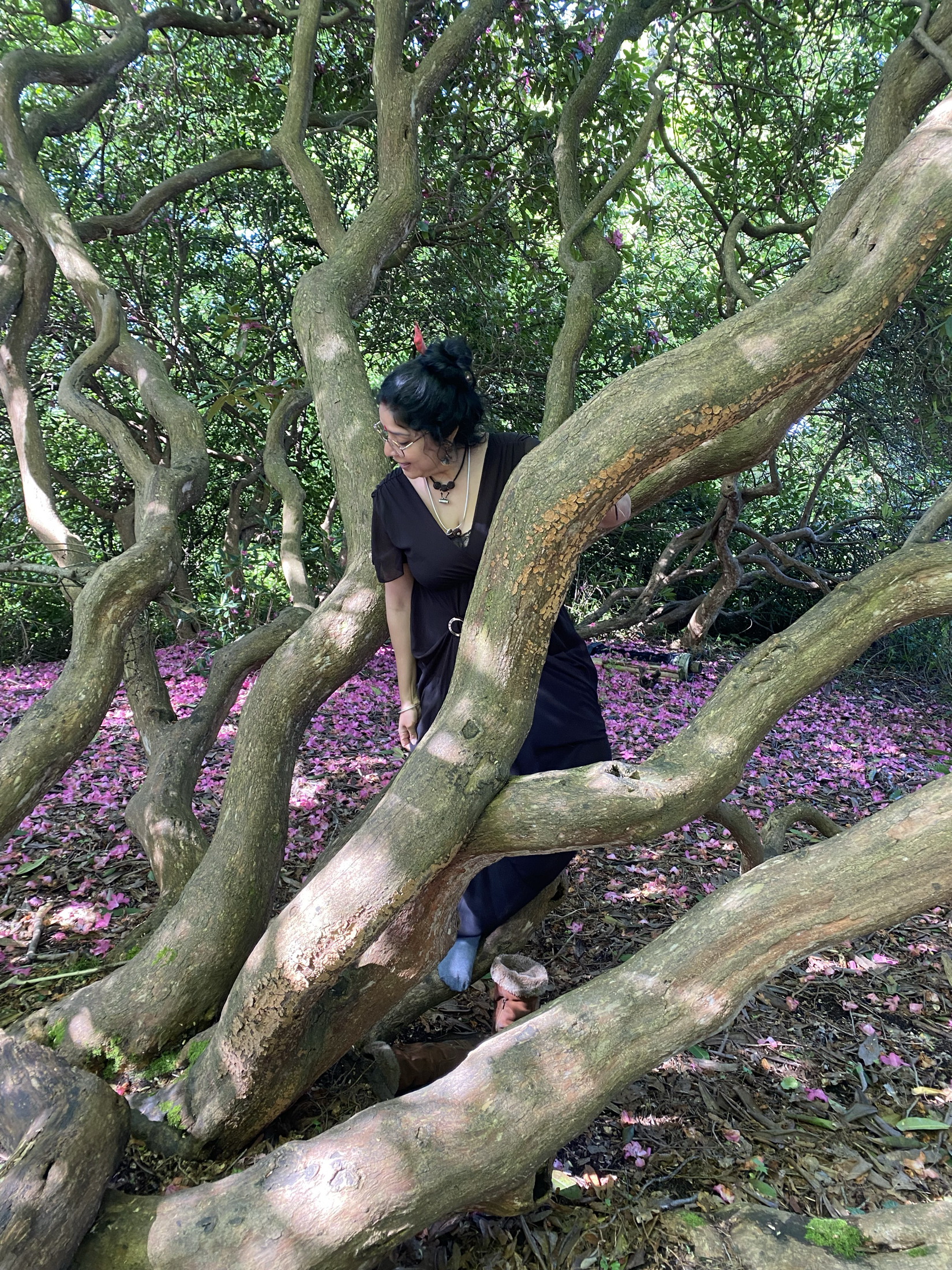 Archive photo: Img 8210.